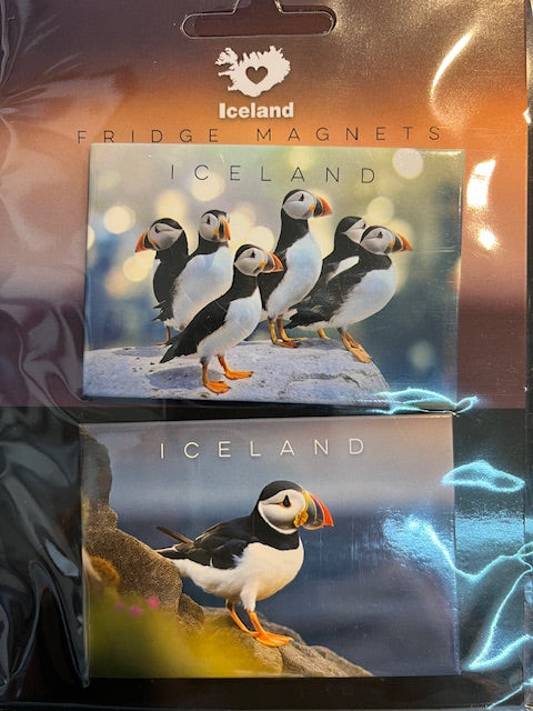 Duo Fridge Magnets Duo Fridge Magnets